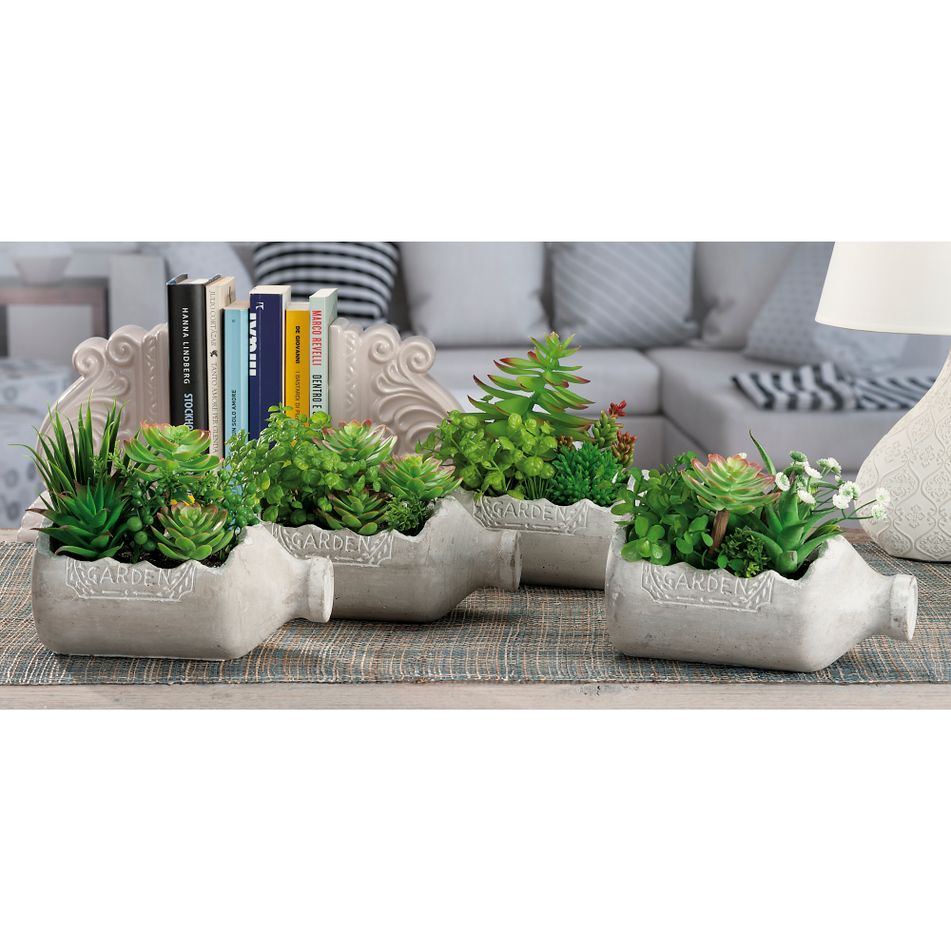 vaso-plus-piantine-gras-a4mod-diam20xh38