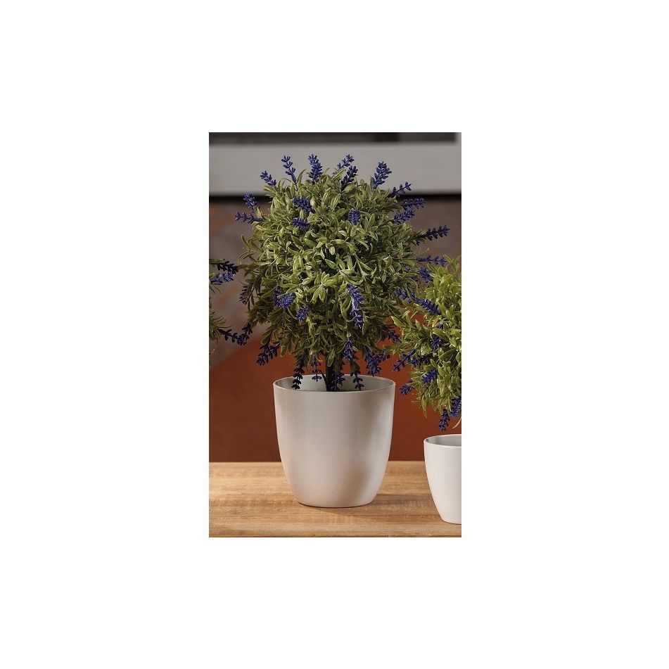 vaso-con-lavanda-d-dot-11-dot-5xh34cm