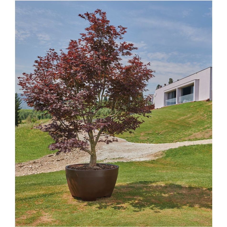 vaso-megalos-d-dot-80xh53cm-cioccolato