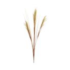 pennacchio-decorativo-35xh115cm-sabbia