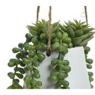 vaso-pensile-bianco-d-dot-20xh20cm-con-pianta