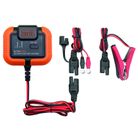 caricabatterie-6v-slash-12v-2-slash-30ah-e-mantenimento-2-slash-70ah