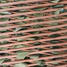 traliccio-estensibile-siepe-ivy-100x200cm-verde