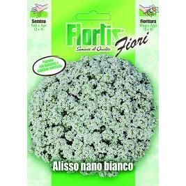 TUTTOGIARDINO ALISSO NANO BIANCO