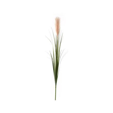 PAMPAS 120CM VERDE E ROSA