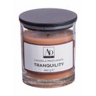 candela-profumata-d-dot-9xh10cm-4-fragranze-con-vasett-61d370