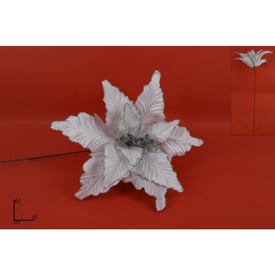 stelo-poinsettia-bianco-60cm