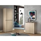 elemento-box-80x37xh102cm-2-ante-olmo