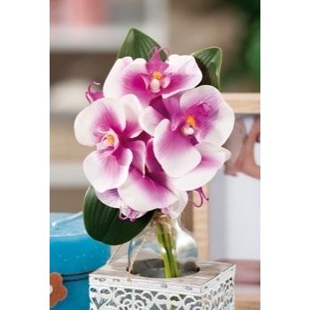 BOUQUET ORCHIDEE 6FIORI A6COL CM22