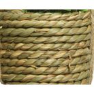 pianta-con-vaso-spago-8x8xh12cm-3-modelli