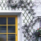 traliccio-estensibile-1x3m-verde-in-plastica