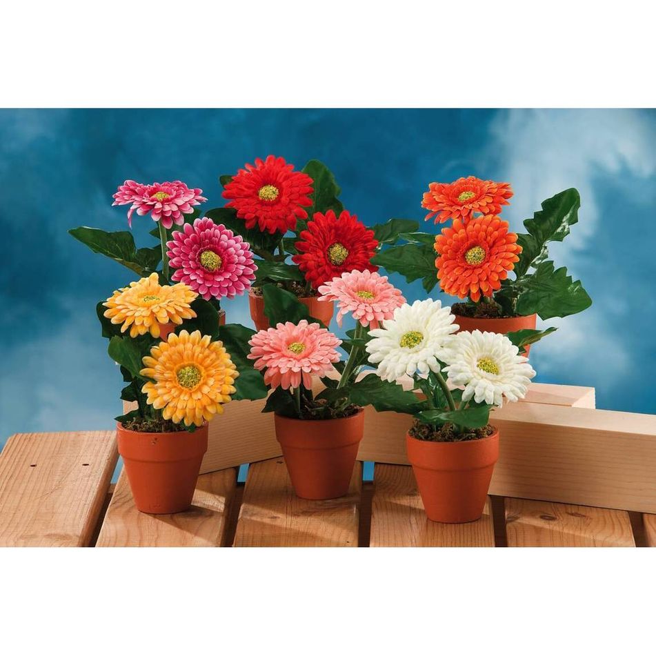 vaso-con-fiori-gerbera-d-dot-12xh18cm