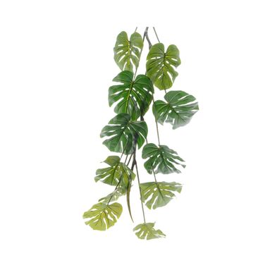 RAMO DI MONSTERA H110CM