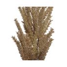 pampas-decorativa-marrone-h94cm-con-foglie