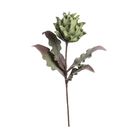 protea-prince-decorativa-80cm-in-4-colori