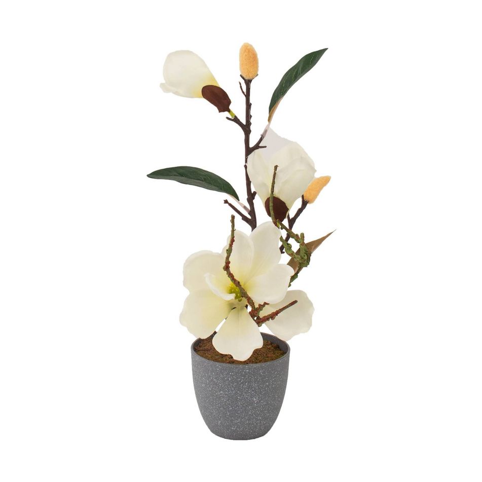vaso-con-magnolia-3-fiori-e-2-boccioli-d-dot-10xh40cm