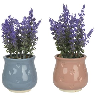 LAVANDA D.8XH20CM CON VASO IN DOLOMITE