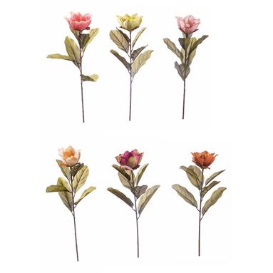 MAGNOLIA 68CM IN 6 COLORI