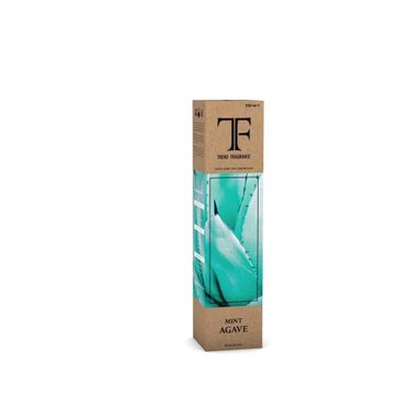 DIFFUSORE CON MIDOLLINI 250ML MINT AGAVE