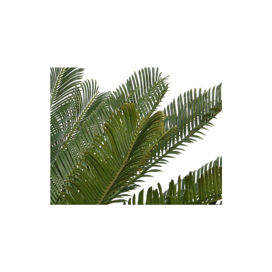 vaso-con-cycas-d-dot-80xh60cm