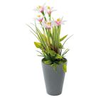 vaso-con-narciso-d-dot-9xh26cm-in-4-colori