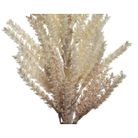 pampas-decorativa-crema-h94cm-con-foglie
