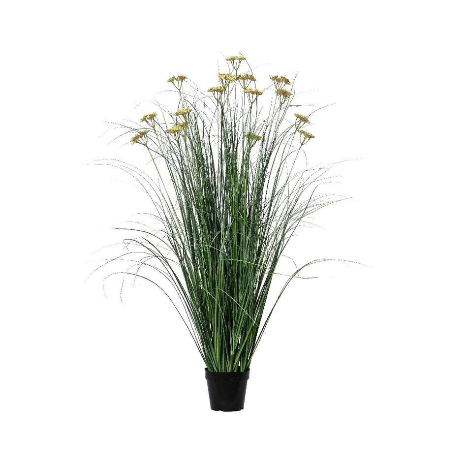 pianta-clinopodium-60x60xh122cm-in-vaso-pvc-giall