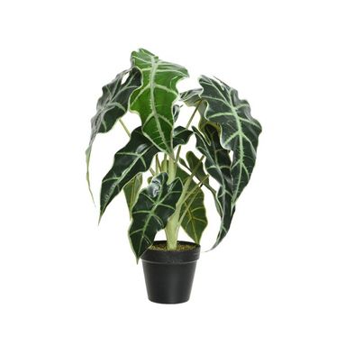 VASO CON ALOCASIA D.27XH50CM