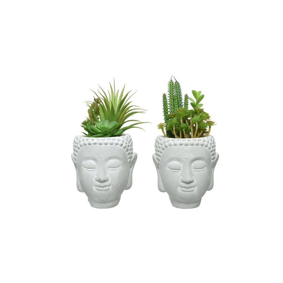 vaso-bhudda-grigio-con-pianta-grassa-d-dot-14xh23cm