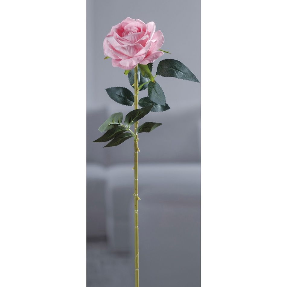 rosa-75cm-in-4-colori