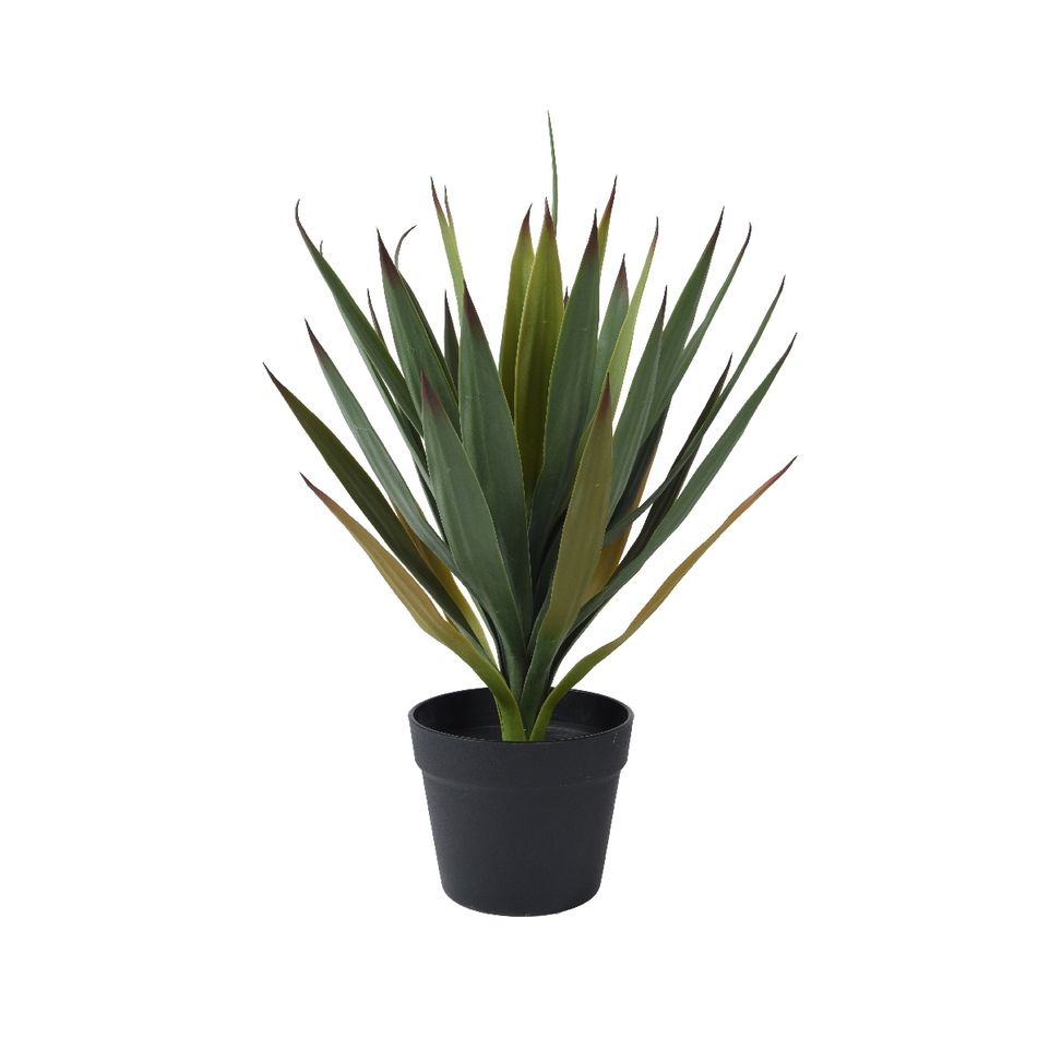 vaso-con-yucca-di-agave-d-dot-48xh55cm-in-plastica