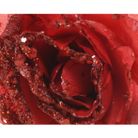 rosa-14cm-rossa-glitterata-con-clip