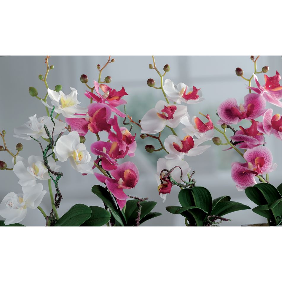 vaso-con-orchidea-d-dot-8xh34cm-in-4-colori-con-5-fior