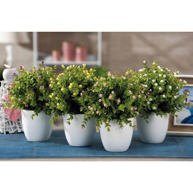 VASO CON FIORI D.12XH28CM IN 4 MODELLI E 2 COLORI