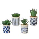 pianta-grassa-h9cm-bianco-slash-blu-vaso-ceramico