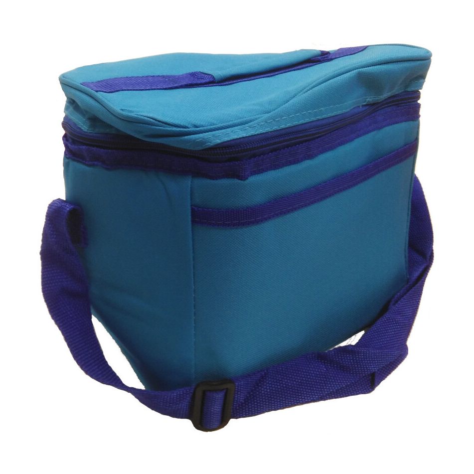 borsa-frigo-cm-dot-25x17x23-lt-dot-10