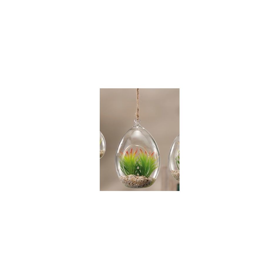dec-vetro-plus-pianta-grassa-a4m-d11xh16