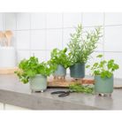 vasetto-in-ceramica-d-dot-75xh85cm-con-piedini-4-co