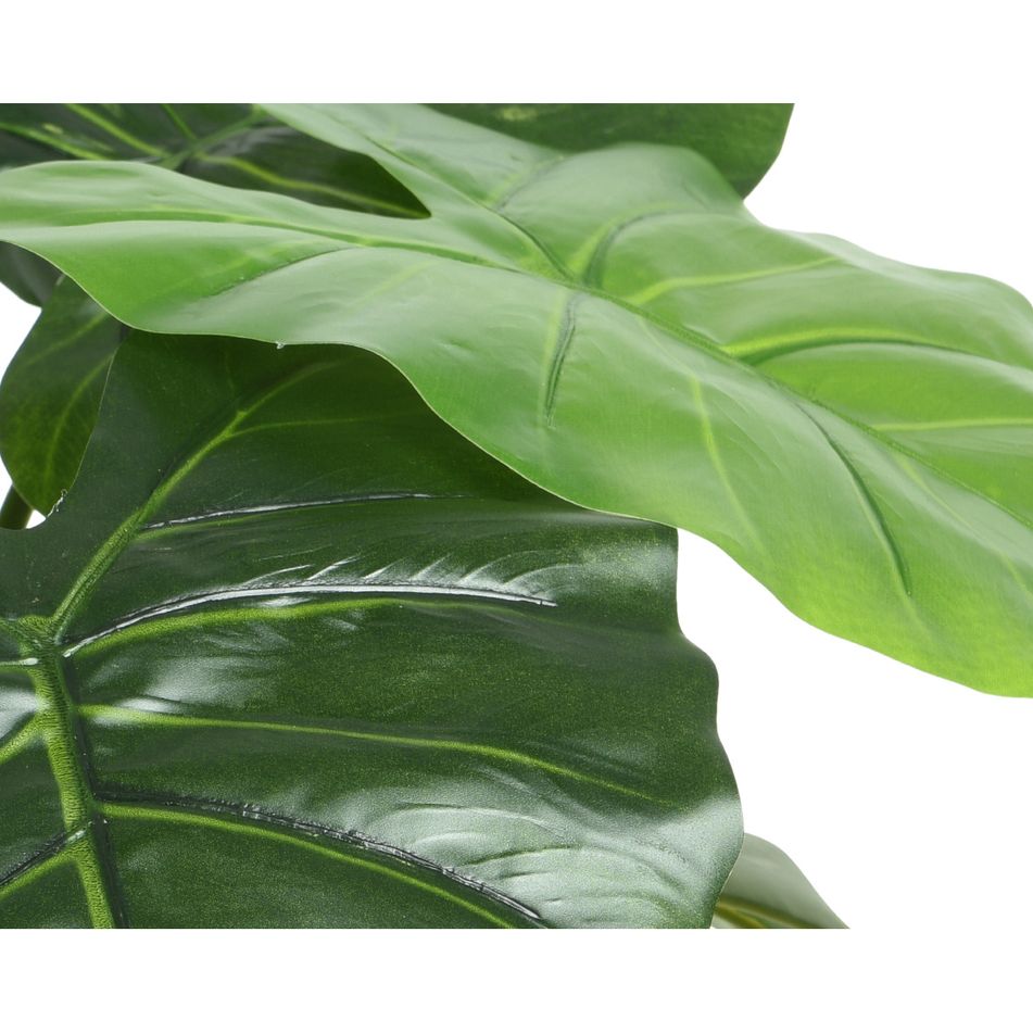vaso-con-alocasia-69x69xh52cm-di-plastica