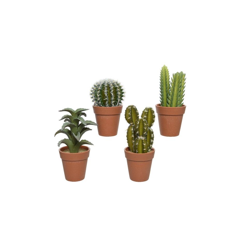 vaso-marrone-con-pianta-grassa-h18cm-in-4-modelli