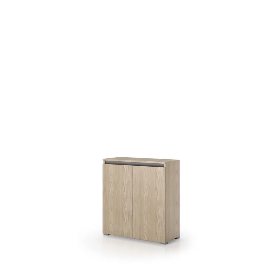 elemento-box-80x37xh102cm-2-ante-olmo